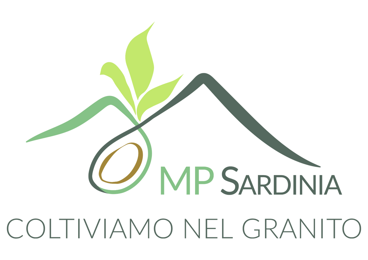 MP Sardinia 